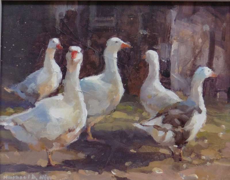 Farm Geese